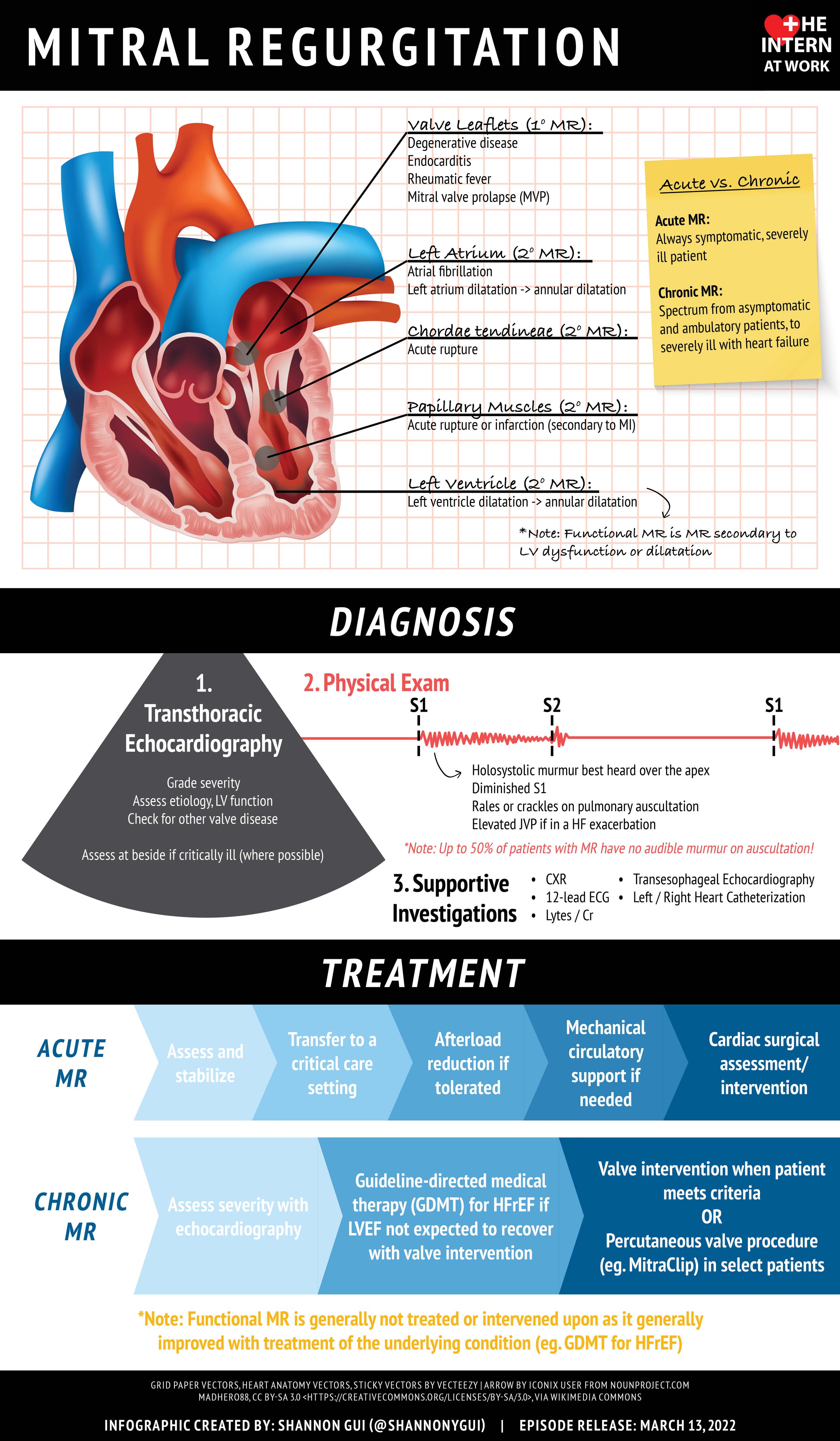 Mitral Regurgitation — The Intern at Work